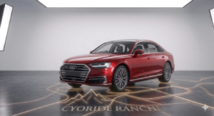 Gemini_Generated_Image_6s47mt6s47mt6s47